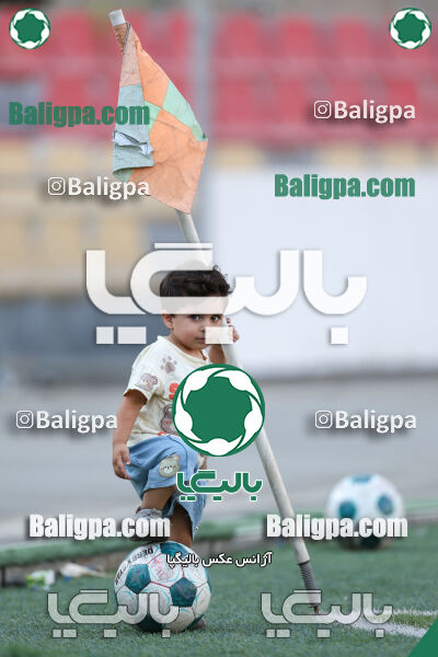 توانا - پیکان