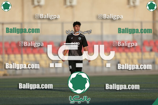 توانا - پیکان