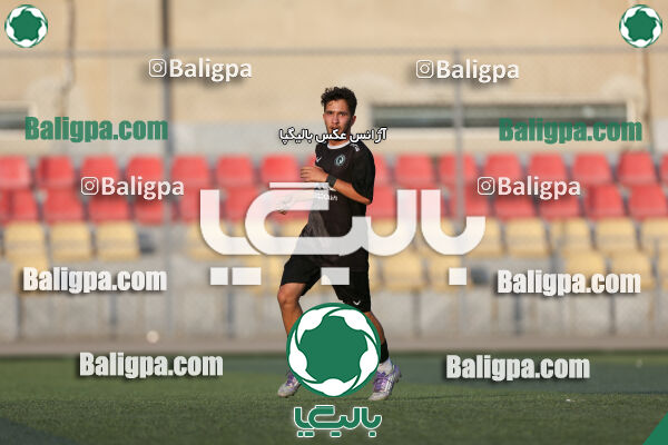 توانا - پیکان