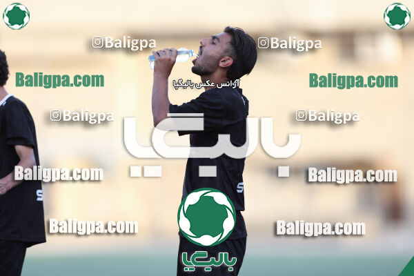 توانا - پیکان