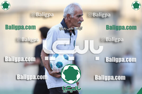 توانا - پیکان